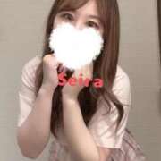 ヒメ日記 2025/01/19 04:17 投稿 せいら S級美女専門　ロイヤルリング