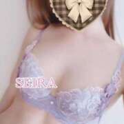 ヒメ日記 2025/01/21 22:12 投稿 せいら S級美女専門　ロイヤルリング