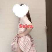 ヒメ日記 2025/01/24 05:13 投稿 せいら S級美女専門　ロイヤルリング