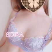 ヒメ日記 2025/02/23 16:09 投稿 せいら S級美女専門　ロイヤルリング