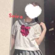 ヒメ日記 2025/03/11 04:18 投稿 せいら S級美女専門　ロイヤルリング