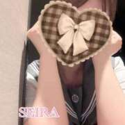 ヒメ日記 2025/03/20 12:09 投稿 せいら S級美女専門　ロイヤルリング