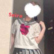 ヒメ日記 2025/04/02 21:20 投稿 せいら S級美女専門　ロイヤルリング