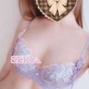 ヒメ日記 2025/04/03 22:01 投稿 せいら S級美女専門　ロイヤルリング