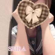 ヒメ日記 2025/04/11 02:59 投稿 せいら S級美女専門　ロイヤルリング