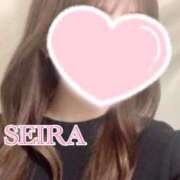 ヒメ日記 2025/04/15 18:54 投稿 せいら S級美女専門　ロイヤルリング