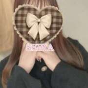 ヒメ日記 2026/04/07 21:32 投稿 せいら S級美女専門　ロイヤルリング