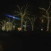 ヒメ日記 2024/12/31 23:45 投稿 きよか S級美女専門　ロイヤルリング