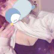 ヒメ日記 2025/03/29 16:59 投稿 とと 虹色メロンパイ 横浜店