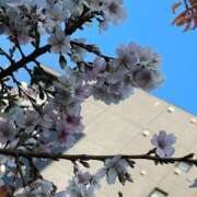 ヒメ日記 2025/12/16 18:55 投稿 とと 虹色メロンパイ 横浜店