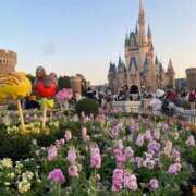 ヒメ日記 2025/02/04 18:58 投稿 秋元 西川口デッドボール