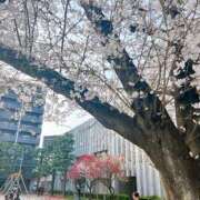 ヒメ日記 2025/03/09 18:18 投稿 秋元 西川口デッドボール