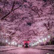 ヒメ日記 2025/04/26 16:18 投稿 秋元 西川口デッドボール