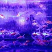 ヒメ日記 2025/05/03 16:55 投稿 秋元 西川口デッドボール