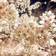 ヒメ日記 2025/05/09 16:16 投稿 秋元 西川口デッドボール