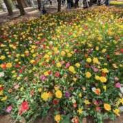 ヒメ日記 2025/06/07 18:24 投稿 秋元 西川口デッドボール