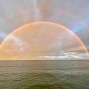 ヒメ日記 2026/01/15 14:28 投稿 秋元 西川口デッドボール