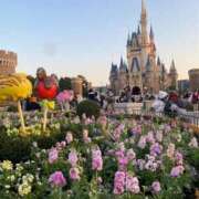 ヒメ日記 2026/01/31 18:01 投稿 秋元 西川口デッドボール