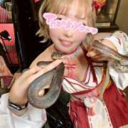 ヒメ日記 2025/12/31 19:19 投稿 りりか先生 美少女制服学園CLASSMATE　五反田校