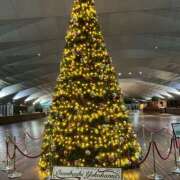 ヒメ日記 2025/12/24 20:46 投稿 みお BABY LIPS