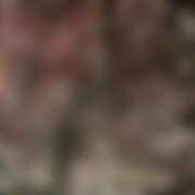 ヒメ日記 2026/04/08 02:48 投稿 みお BABY LIPS