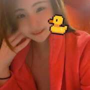 ヒメ日記 2025/04/08 12:16 投稿 ミア バニーコレクション新潟店