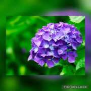 ヒメ日記 2025/06/03 17:26 投稿 加藤ちな 五十路マダムエクスプレス船橋店(カサブランカグループ)