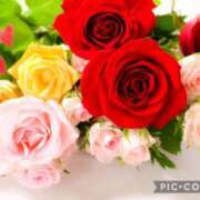 ヒメ日記 2025/06/15 15:26 投稿 加藤ちな 五十路マダムエクスプレス船橋店(カサブランカグループ)