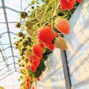 ヒメ日記 2025/02/20 11:56 投稿 川本純子 五十路マダム 仙台店