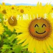 ヒメ日記 2025/06/28 11:02 投稿 川本純子 五十路マダム 仙台店