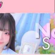 ヒメ日記 2025/07/26 16:34 投稿 すい チューリップ福井本館