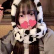 ヒメ日記 2025/11/14 10:13 投稿 すい チューリップ福井本館