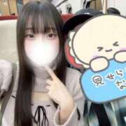 ヒメ日記 2025/11/17 08:54 投稿 すい チューリップ福井本館