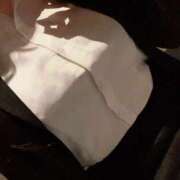 ヒメ日記 2025/11/17 15:24 投稿 すい チューリップ福井本館