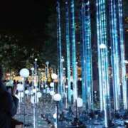 ヒメ日記 2026/03/01 08:21 投稿 さくら もみもみワンダーランド