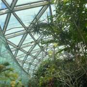 ヒメ日記 2025/08/04 17:49 投稿 まどか 五反田アンジェリーク