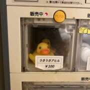 ヒメ日記 2026/03/03 01:02 投稿 まどか 五反田アンジェリーク