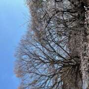 ヒメ日記 2026/03/27 12:04 投稿 まどか 五反田アンジェリーク