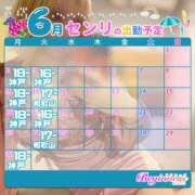 ヒメ日記 2025/05/23 12:43 投稿 センリ ビギナーズ和歌山