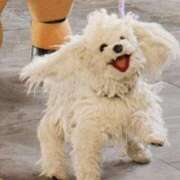 ヒメ日記 2025/12/02 08:27 投稿 ゆりな ドM女学園大阪