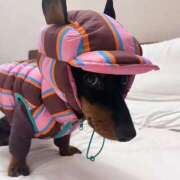 ヒメ日記 2025/12/09 03:25 投稿 ゆりな ドM女学園大阪