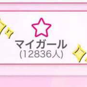 ヒメ日記 2025/04/08 12:13 投稿 四季 ダイスキ