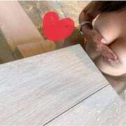 ヒメ日記 2025/04/11 07:51 投稿 四季 ダイスキ