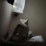 ヒメ日記 2025/07/17 21:00 投稿 四季 ダイスキ