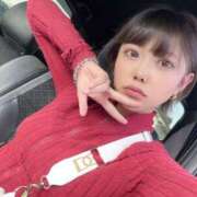 ヒメ日記 2025/11/08 10:30 投稿 四季 ダイスキ