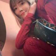 ヒメ日記 2025/11/12 13:18 投稿 四季 ダイスキ