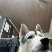 ヒメ日記 2025/12/04 00:28 投稿 四季 ダイスキ