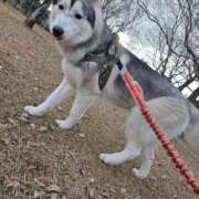 ヒメ日記 2026/01/04 20:56 投稿 四季 ダイスキ