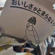 ヒメ日記 2026/04/01 23:35 投稿 四季 ダイスキ