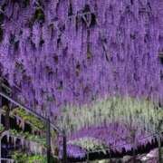 ヒメ日記 2025/04/25 08:46 投稿 りょう 大宮おかあさん